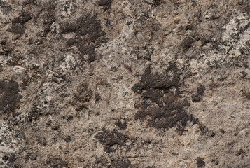 soil in the ground