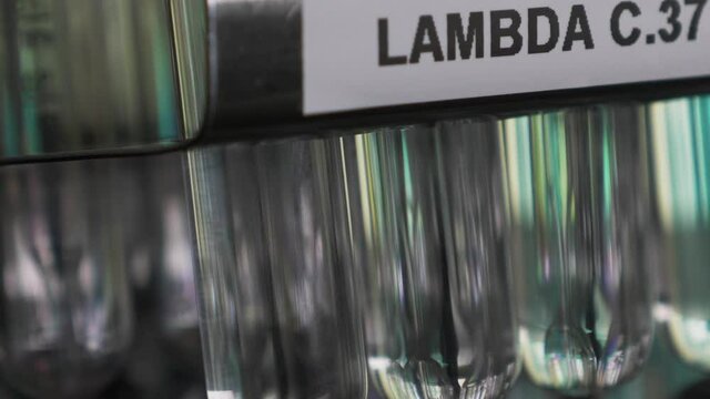 Lambda C37 Variant Test Tube Samples On Rack. Pan Right, Close Up