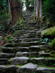 Fototapeta premium 熊野古道 