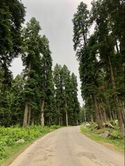 Long Road drive in the hills