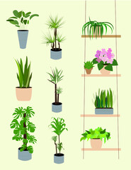 Fototapeta na wymiar vector houseplant background pots eps 10