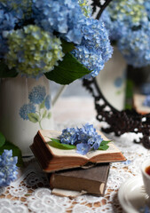 Amazing blue hydrangea flowers on the light table. Selective focus and close up image.