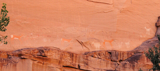   ancient  native american  pictographs of elk and pronghorn  at canyon de chelly national...