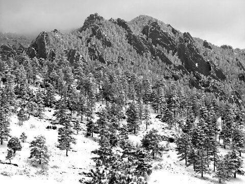  black and white  snowy winter view of the spectacular flatirons  from  NCAR mesa, above Boulder, Colorado