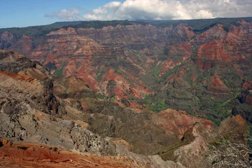 Poster viewpoint  looking out at colorful, eroded waimea canyon and rain forests in kauai, hawaii © Nina