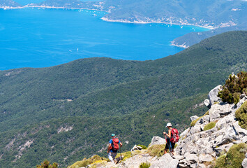 Fototapeta premium Treking from Monte Capanna to Marciana, Elba Island