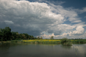 Fototapeta na wymiar a large thundercloud over the reservoir and a yellow flowering rapeseed