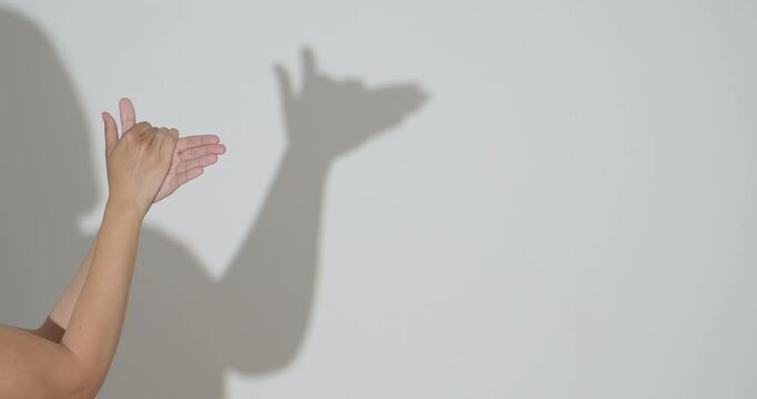 Woman making shadow dog with her hands