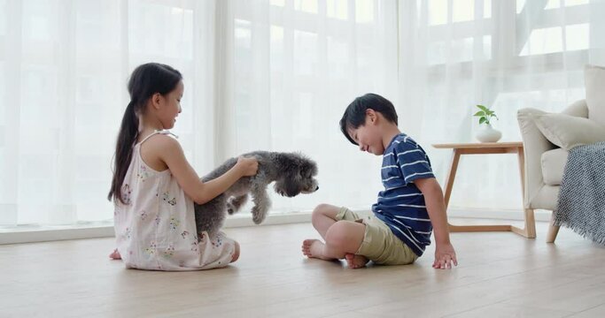 Happy sibling playing with dog in living room,4K