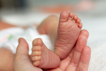 Cute little feet of a newborn baby in the hand of a happy parent