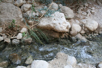 water flowing on the rocks
