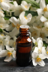 Obraz na płótnie Canvas Jasmine essential oil and fresh flowers on grey table