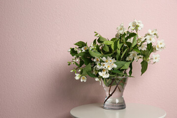 Beautiful bouquet with fresh jasmine flowers in vase on table near pink wall, space for text