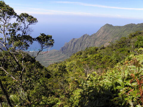 panoramic view of kalalau valley from pu'u o kila  overlook, kauai, hawaii