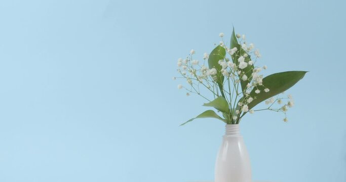 Beautiful gypsophila flowers and leaves in vase on color background