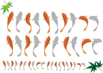 水の中を泳ぐ金魚セット