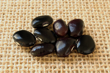 Black fava beans in detail