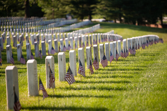 Memorial Day -Arlington