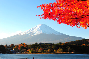 富士五湖と紅葉と富士山