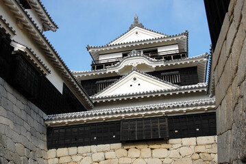 Fototapeta premium 松山城 天守閣 愛媛県松山市