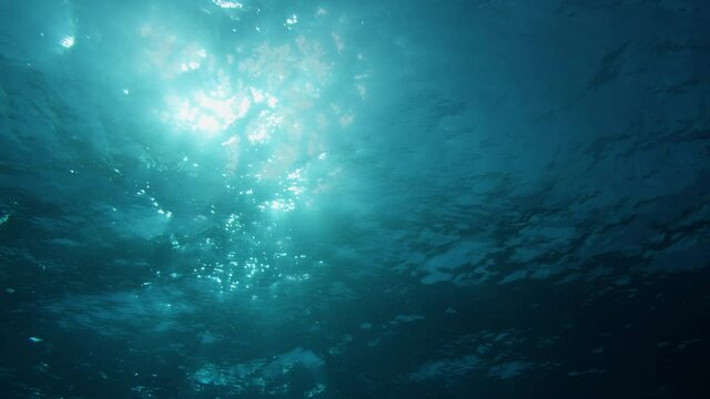 Sunbeams penetrating wavy ocean surface. Ocean background light shafts VFX element. Underwater tropical marine footage. Diving, snorkeling paradise. Summer vacation destination. Ocean VFX elements.