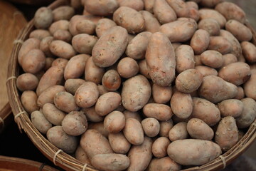 many potatos in the  traditional bamboo cage