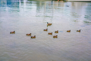 Scenery of Vancouver, Canada