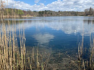 lake in the forest