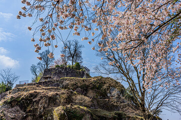 天空の城　桜と苗木城跡
