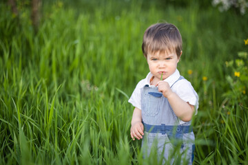 Funny little boy with blue bright eyes in overalls eating fresh green grass in a large blooming garden