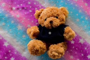 Cute teddy bear on the fabric floor