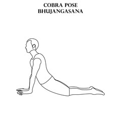 Cobra pose yoga workout. Bhujangasana. Man doing yoga illustration outline