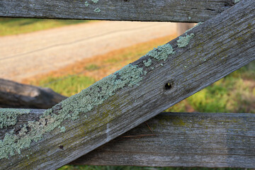 old timber fence with moss