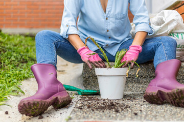 Close up of a woman with boots and gloves organizing plant in pot
