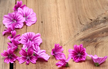Background  from flowers of  Wild mallow, lat.  Malva sylvestris. Natural background from medicinal herbs on wooden table.
