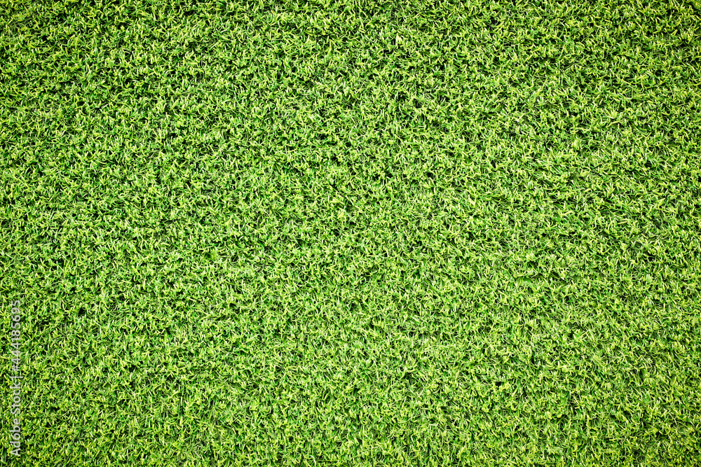 Canvas Prints top view green grass texture for background