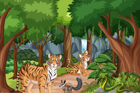 Forest or rainforest scene with tiger family