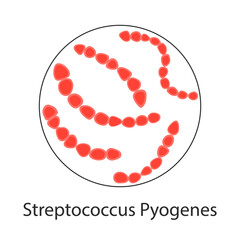 Streptococcus pyogenes. Cartoon illustration of streptococcus pyogenes vector icon for web.