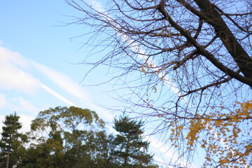 近畿地方各地にお出かけ