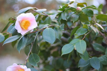 近畿地方各地にお出かけ