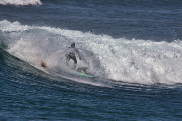 Obraz premium Surfing summer waves at Malibu beach