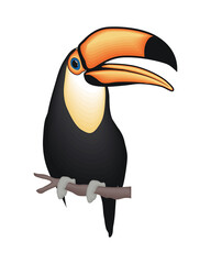 Cute toucan cartoon