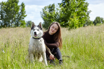 Naklejka na ściany i meble Owner girl playing with her siberian husky at field. Happy smiling woman with dog have a good time on weekend activity outdoors