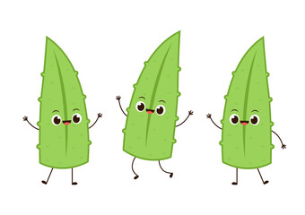 Aloe character design. Aloe cartoon vector. Aloe on white background.