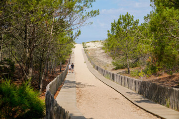 Wooden sand pathway access to Cap-Ferret sea atlantic beach in gironde france