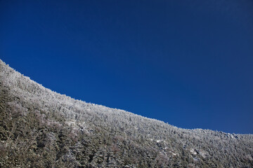 Mt.Kitayatsugatake, Kitayokodake, Tsuboniwa, Shimagareyama, Chausuyama 冬の北八ヶ岳、北横岳、坪庭、茶臼山、縞枯山トレッキング