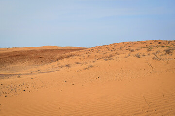 Fototapeta na wymiar Desert in the Black Lands nature reserve