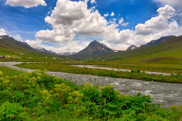 The scenery of fresh and bright summer green mountains and grass, wild flowers and streams with Icelandic country roads. on vacation trip blue sky and beautiful clouds