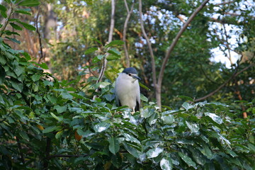 日本一楽しい　天王寺動物園