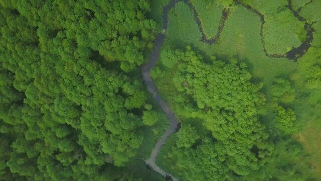4k AERIAL: Top down view on small winding river in summer forest.